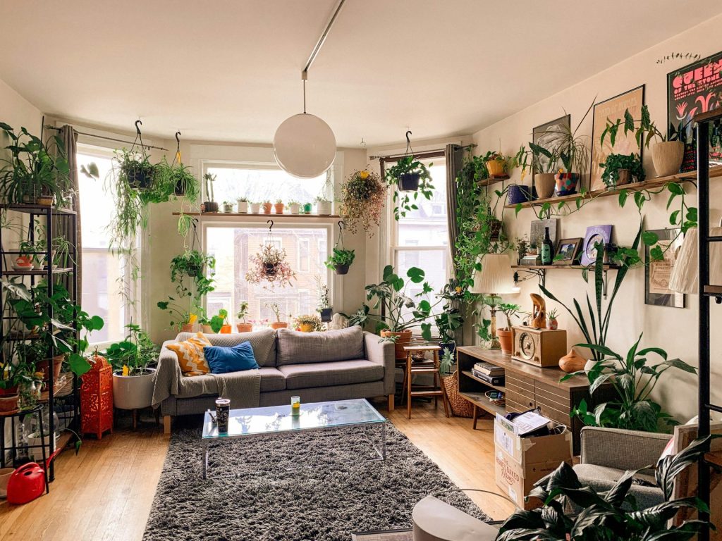 a living room filled with lots of plants and furniture